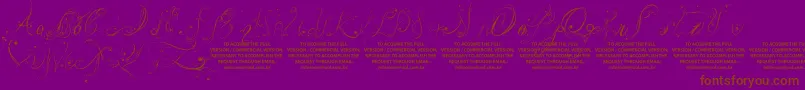 LyssaDemoVersion Font – Brown Fonts on Purple Background