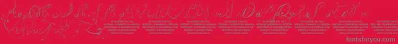 LyssaDemoVersion Font – Gray Fonts on Red Background