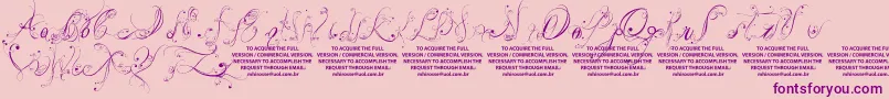 LyssaDemoVersion-Schriftart – Violette Schriften auf rosa Hintergrund