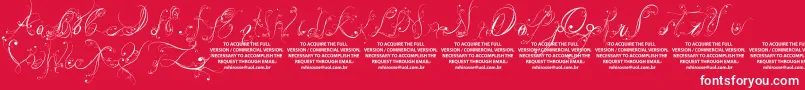 LyssaDemoVersion Font – White Fonts on Red Background