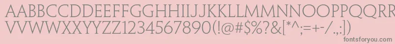 PenumbraserifstdLight Font – Gray Fonts on Pink Background