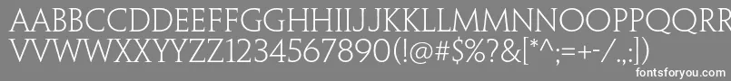 PenumbraserifstdLight Font – White Fonts on Gray Background