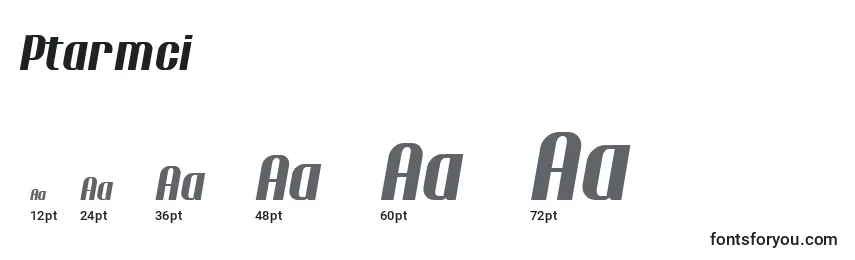 Ptarmci Font Sizes
