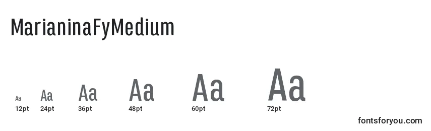 Размеры шрифта MarianinaFyMedium