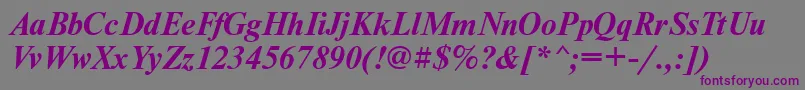 NewtonbttBolditalic Font – Purple Fonts on Gray Background