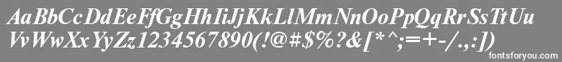 NewtonbttBolditalic Font – White Fonts on Gray Background