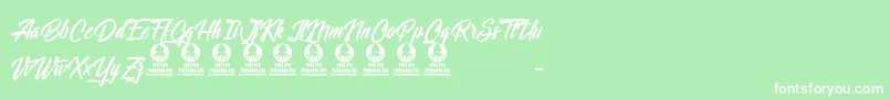 LightsOfTheStardust Font – White Fonts on Green Background