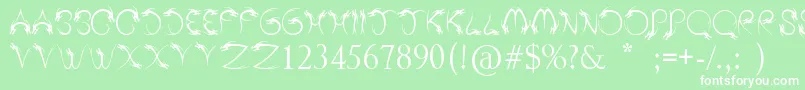 TribalDragon Font – White Fonts on Green Background