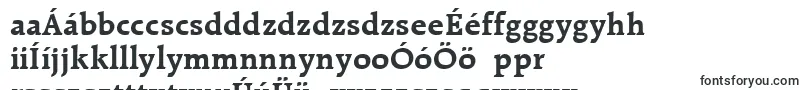 RaleighLtBold Font – Hungarian Fonts