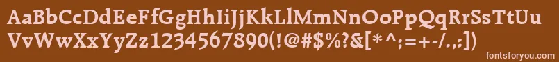 RaleighLtBold Font – Pink Fonts on Brown Background