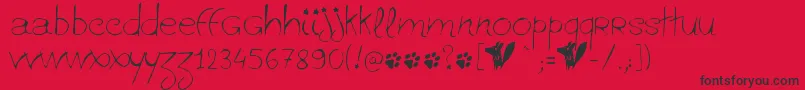 Ginolib Font – Black Fonts on Red Background