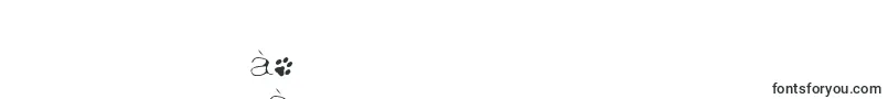 Ginolib Font – Tamil Fonts