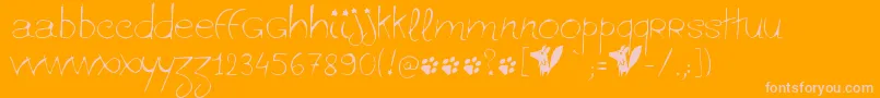 Ginolib Font – Pink Fonts on Orange Background