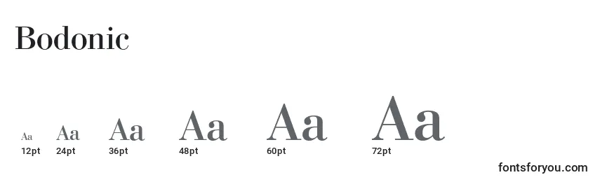 Размеры шрифта Bodonic