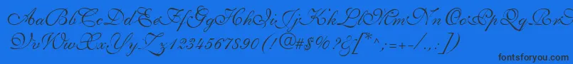 ShelleyLtVolanteScript Font – Black Fonts on Blue Background