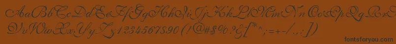 フォントShelleyLtVolanteScript – 黒い文字が茶色の背景にあります