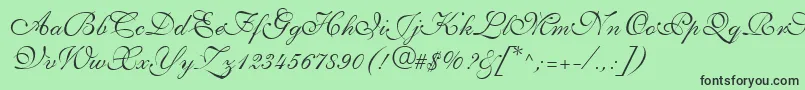 Fonte ShelleyLtVolanteScript – fontes pretas em um fundo verde