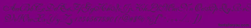 Czcionka ShelleyLtVolanteScript – czarne czcionki na fioletowym tle