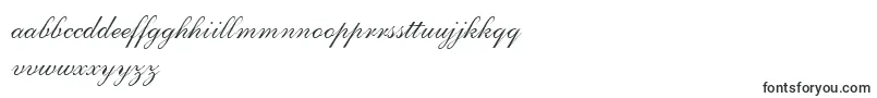 ShelleyLtVolanteScript Font – Irish Fonts