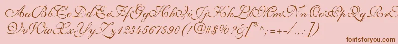 Fonte ShelleyLtVolanteScript – fontes marrons em um fundo rosa