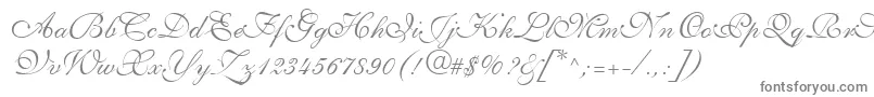 Fonte ShelleyLtVolanteScript – fontes cinzentas