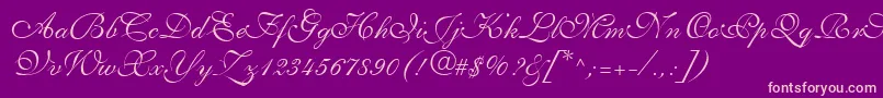 ShelleyLtVolanteScript Font – Pink Fonts on Purple Background