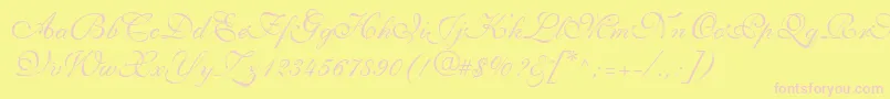 ShelleyLtVolanteScript-Schriftart – Rosa Schriften auf gelbem Hintergrund