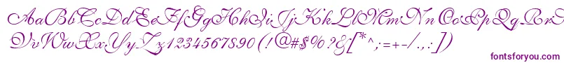 ShelleyLtVolanteScript-Schriftart – Violette Schriften auf weißem Hintergrund