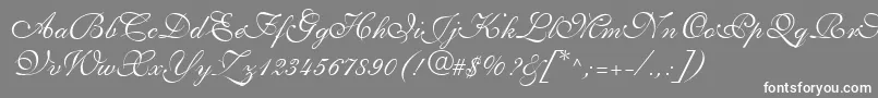 Czcionka ShelleyLtVolanteScript – białe czcionki na szarym tle