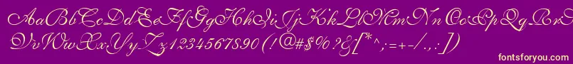 ShelleyLtVolanteScript-Schriftart – Gelbe Schriften auf violettem Hintergrund