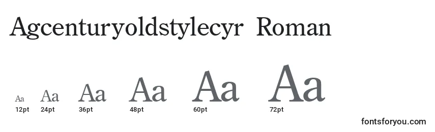 Größen der Schriftart Agcenturyoldstylecyr Roman