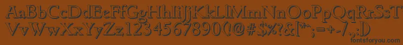 GouditashadowRegular Font – Black Fonts on Brown Background