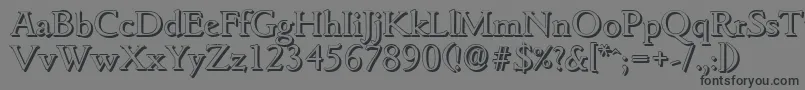 GouditashadowRegular Font – Black Fonts on Gray Background