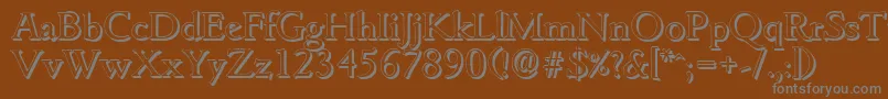 GouditashadowRegular Font – Gray Fonts on Brown Background