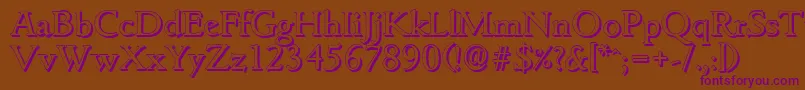 GouditashadowRegular Font – Purple Fonts on Brown Background