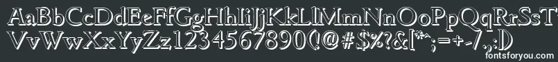 GouditashadowRegular Font – White Fonts