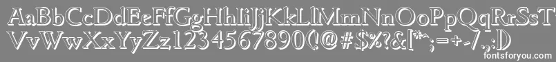 GouditashadowRegular Font – White Fonts on Gray Background