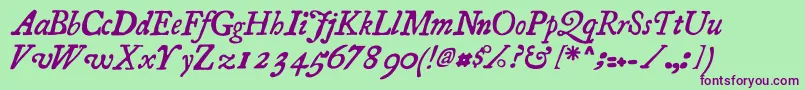 Essays1743Italic Font – Purple Fonts on Green Background