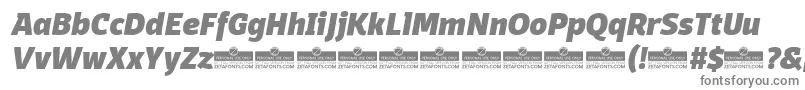 DomotikaHeavyItalicTrial Font – Gray Fonts on White Background