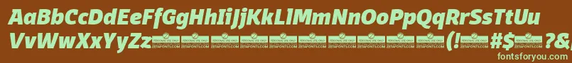 DomotikaHeavyItalicTrial Font – Green Fonts on Brown Background