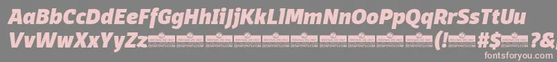 DomotikaHeavyItalicTrial Font – Pink Fonts on Gray Background