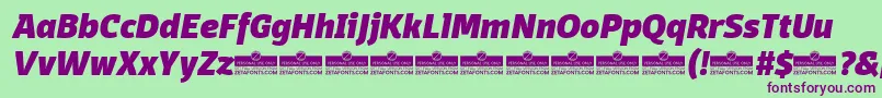 DomotikaHeavyItalicTrial Font – Purple Fonts on Green Background