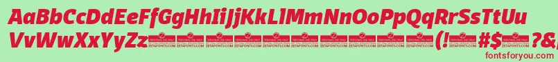 DomotikaHeavyItalicTrial Font – Red Fonts on Green Background