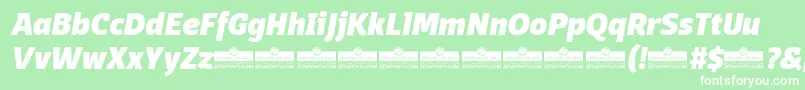 DomotikaHeavyItalicTrial Font – White Fonts on Green Background