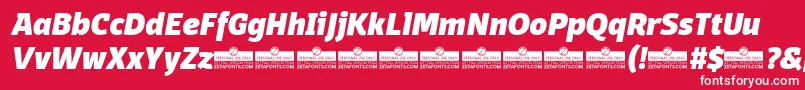 fuente DomotikaHeavyItalicTrial – Fuentes Blancas Sobre Fondo Rojo
