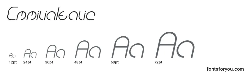 Размеры шрифта EmmiliaItalic