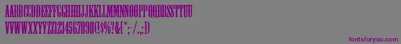 Mesquite-fontti – violetit fontit harmaalla taustalla