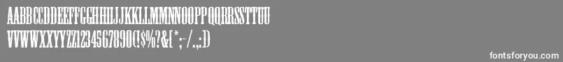 Mesquite Font – White Fonts on Gray Background