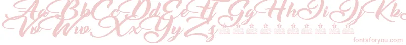EmotionalRescuePersonalUse Font – Pink Fonts on White Background