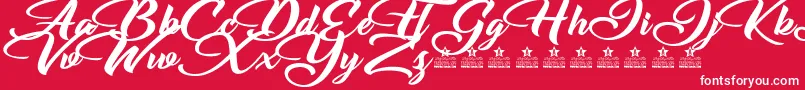 EmotionalRescuePersonalUse Font – White Fonts on Red Background